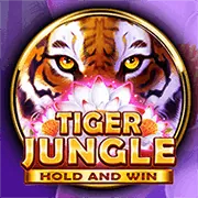 Logo Mega Win Gaming